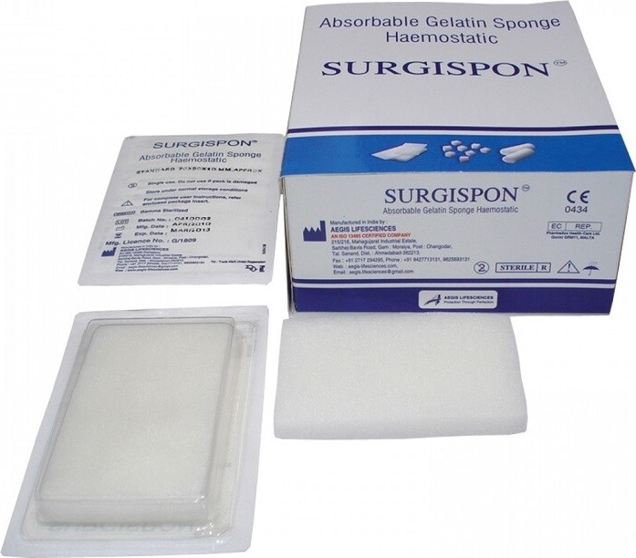 Surgispon Standard 8x5x1cm 10ks