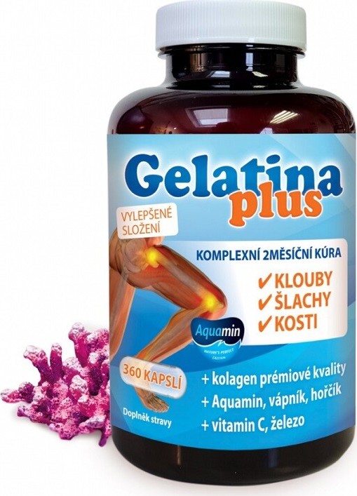 Gelatina Plus cps.360