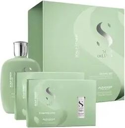 Alfaparf Semi di Lino Scalp Renew Kit obnovující set