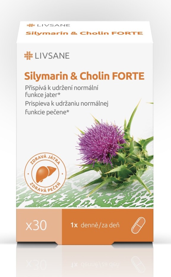 LIVSANE Silymarin&Cholin FORTE tob.30