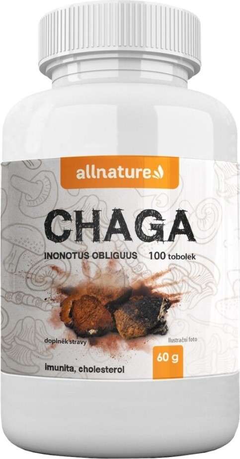 Allnature Chaga rezavec šikmý cps.100